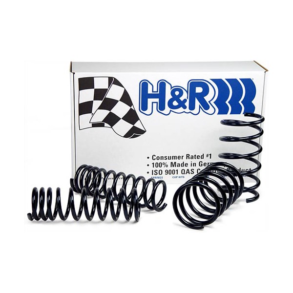 Kit muelles H&R para Focus I Kit muelles H&R para Focus I