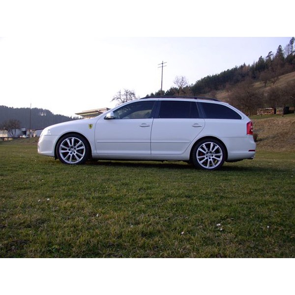 Muelles Eibach OCTAVIA Muelles Eibach OCTAVIA