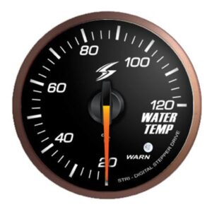 Reloj de temperatura de agua STRI DSD-CS