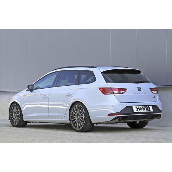 Muelles H&R Sport Seat Leon 5F CUPRA 4DRIVE Muelles H&R Sport Seat Leon 5F CUPRA 4DRIVE